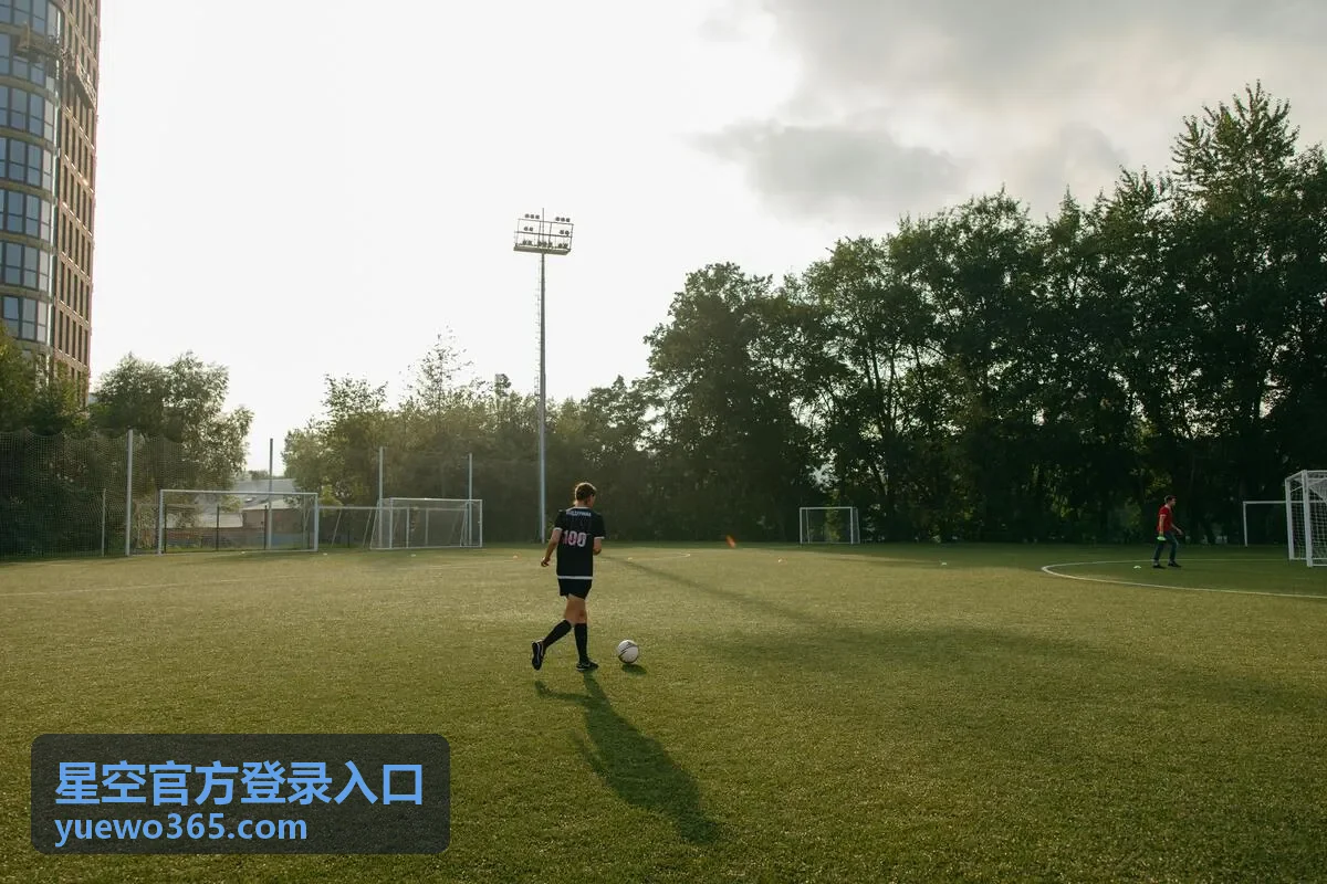 星空官方登录入口片库中的爱情题材封面