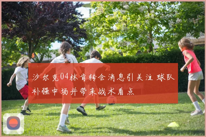 沙尔克04林肯转会消息引关注 球队补强中场并带来战术看点