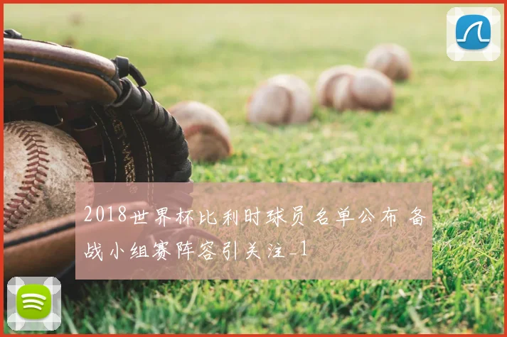 2018世界杯比利时球员名单公布 备战小组赛阵容引关注_1
