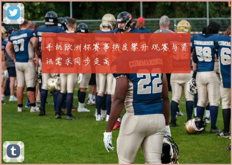 手机欧洲杯赛事热度攀升 观赛与资讯需求同步走高