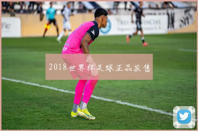 2018世界杯足球正品发售
