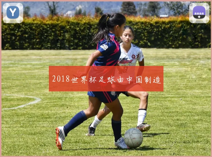 2018世界杯足球由中国制造