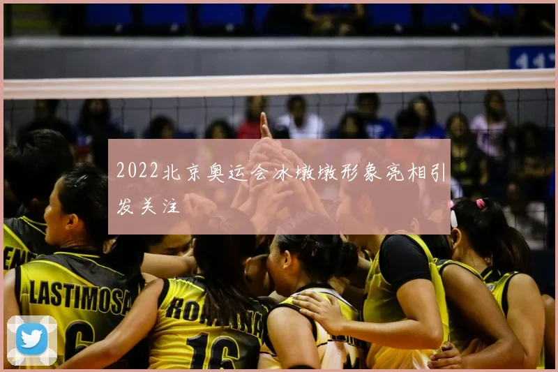 2022北京奥运会冰墩墩形象亮相引发关注