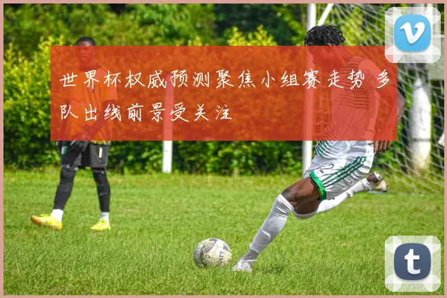 世界杯权威预测聚焦小组赛走势 多队出线前景受关注