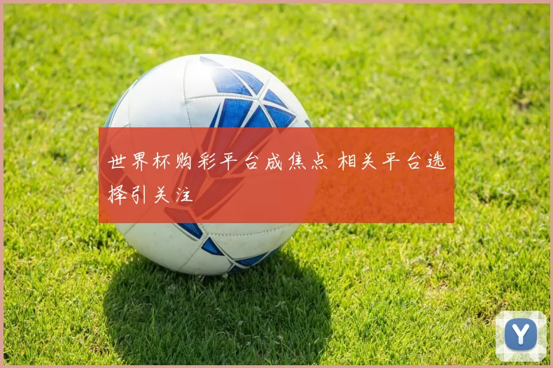 世界杯购彩平台成焦点 相关平台选择引关注