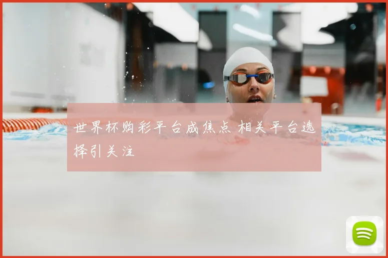 世界杯购彩平台成焦点 相关平台选择引关注