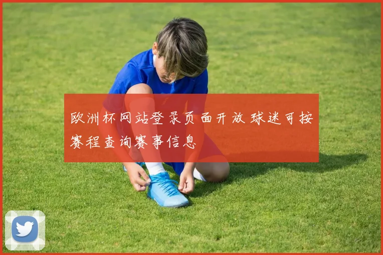 欧洲杯网站登录页面开放 球迷可按赛程查询赛事信息