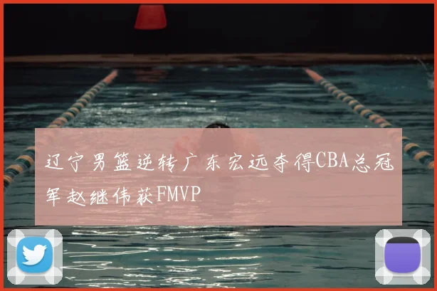 辽宁男篮逆转广东宏远夺得CBA总冠军赵继伟获FMVP